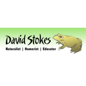 David Stokes Logo